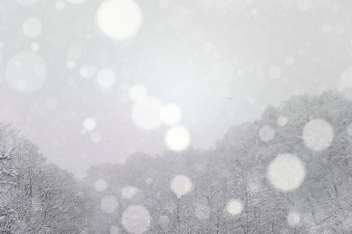 Asako Shimizu, Storyteller #1, 2013-2014, lambda print, 130 x 90 cm, ed. 5. courtesy the artist and NextLevel Galerie
