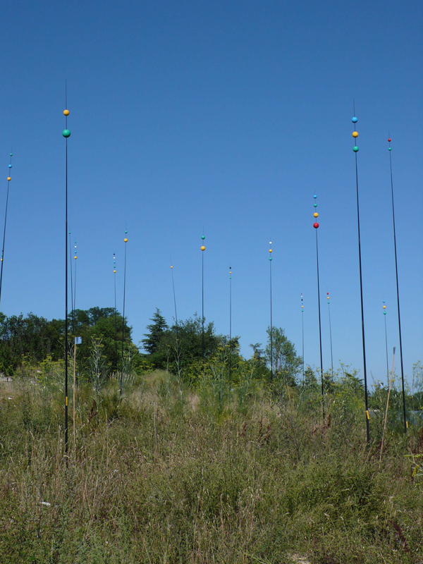 Tiphaine Hameau, Un jardin de mauvaises herbes, fort Saint-Georges, 2010. Photo courtoisie de l'artiste