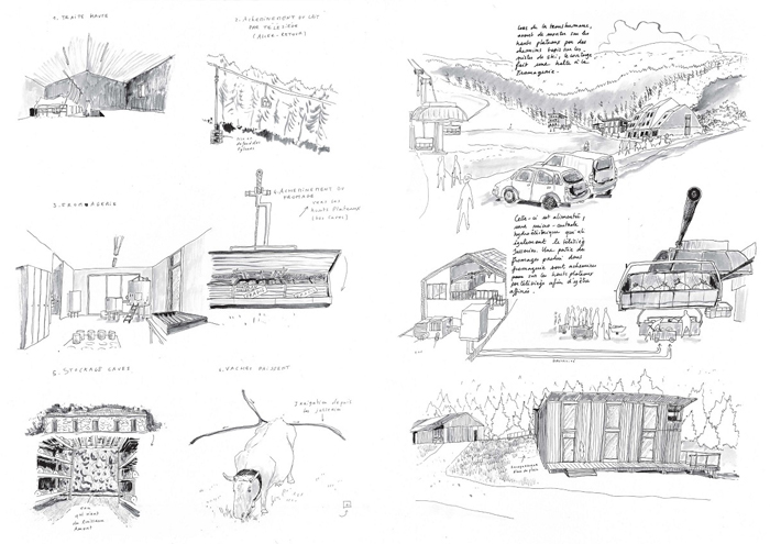 Cécile Gaudard, The caretakers – An exploration on a traumatized landscapes (Details), 2023