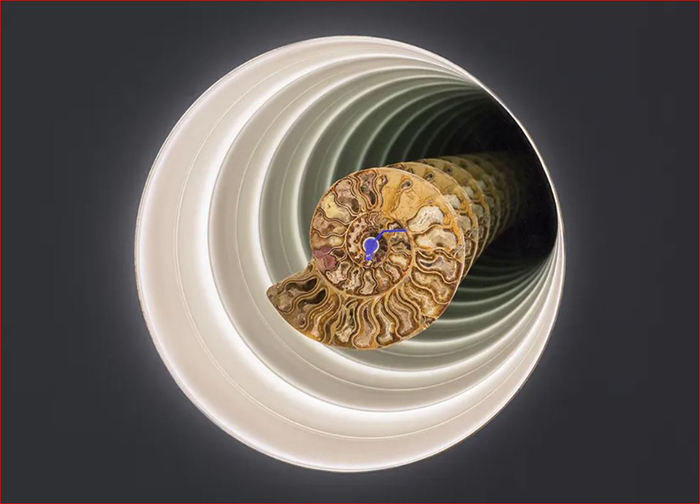 Cyprien Gaillard, Ammonite Dub, 2015