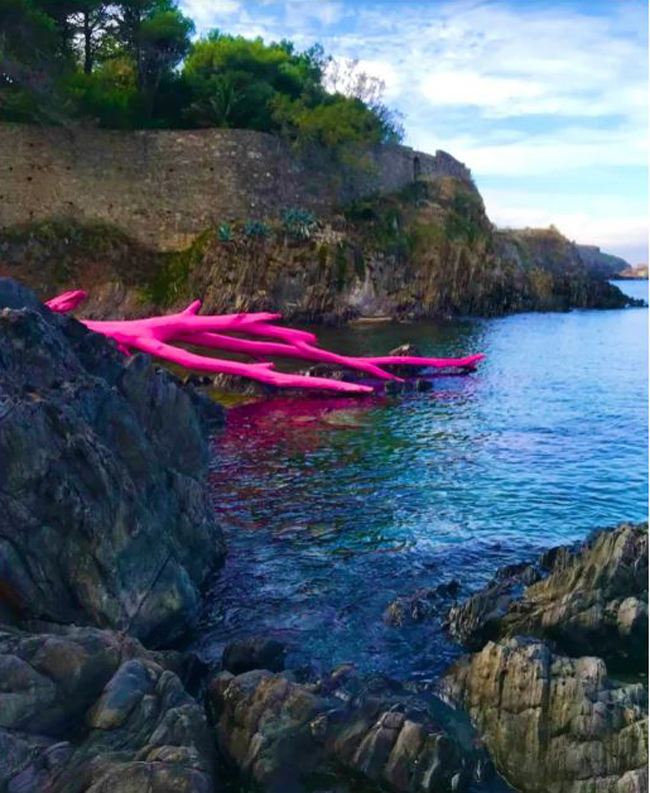 Liths, L’Arbre Rose, Collioure, 2023