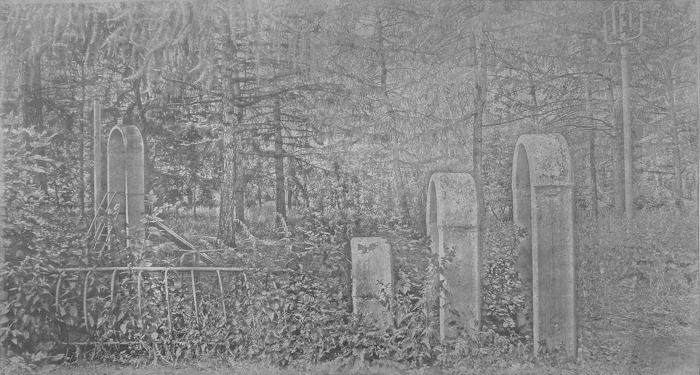Catherine Melin, série “Bruissements du dehors”, 2019, Poudre de graphite sur vernis colle, 62,5×100 cm