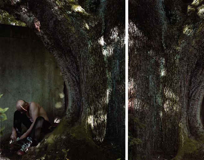 Valérie Jouve, Sans titre (Les arbres), 2006, C-print, 150 x 193 cm. Courtoisie Galerie Xippas, Paris