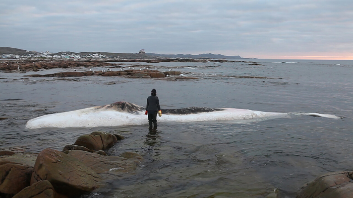 Patty Chang,&nbsp;Invocation For A Wandering Lake, part 1 & 2, 2015–2016. Video projection on cardboard bifold panels, sound, 12:49 min. Courtesy of the artist. 	