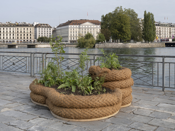 Maria Thereza Alves,&nbsp;Seeds of Change— Garden of Balast Flora, 2023. Wood, earth, coir logs, selected plants, variable dimensions. Image: Julien Gremaud.