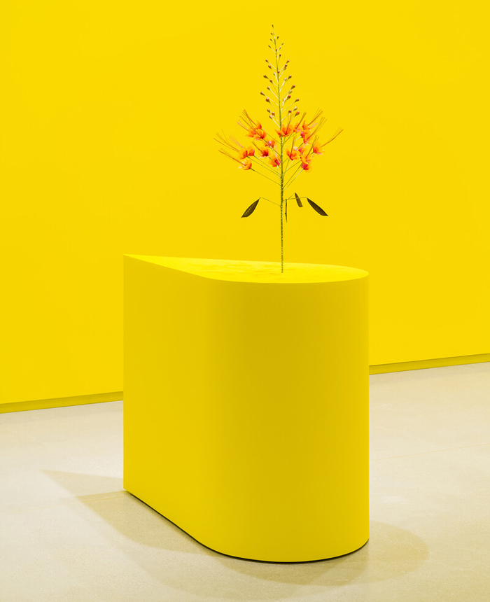 Kapwani Kiwanga,&nbsp;The Marias, 2020, vue d’installation, Remai Modern, Saskatoon, Canada, 2021. Prêt de la collection de l’IAC, France, © VG Bild-Kunst, Bonn 2023, Photo: Blaine Campbell 