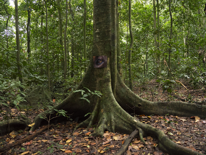 Daniel Steegmann Mangrané,&nbsp;La Pensée Férale&nbsp;(detail), 2020. 