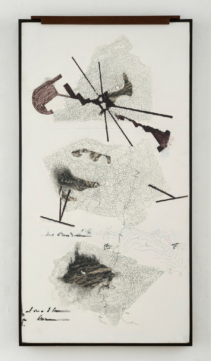 Jitish Kallat, Albédo (Point d’incidence) - détail