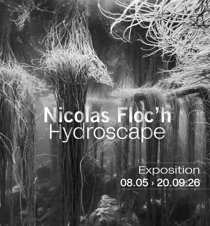 Nicolas Floc'h, Hydroscape, Fondation François Schneider, Wattwiller