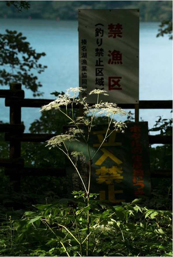 Hideki Umezawa, Haruna Lake # 2, 2021. 118,9 x 84,1 cm