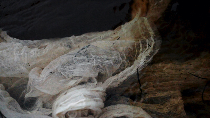 Cassie Sullivan,&nbsp;Mayana Trawna | Body Country&nbsp;(still), 2021. Courtesy of the artist. 