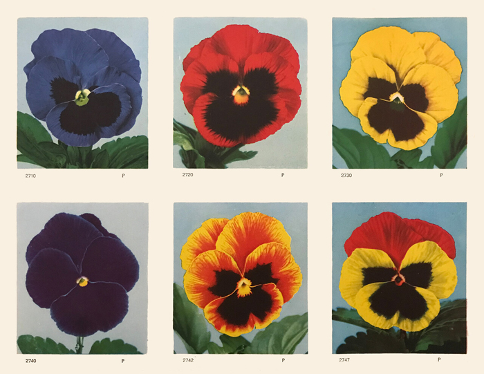 Polly Apfelbaum, from&nbsp;The Greenhouse, 2022. © Polly Apfelbaum 