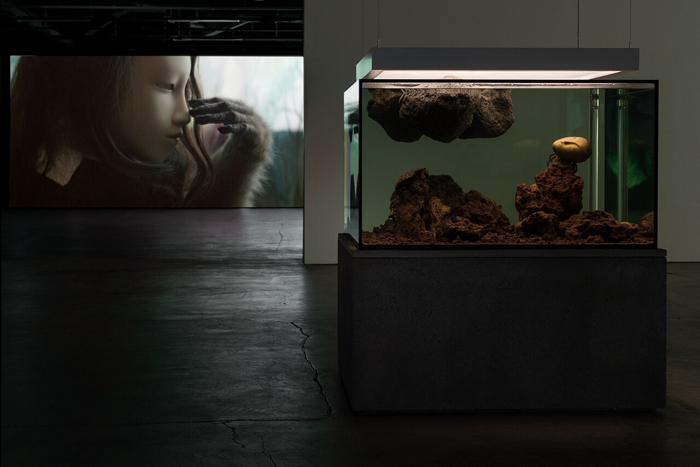View of Pierre Huyghe:&nbsp;Chimeras, EMMA—Espoo Museum of Modern Art, Espoo, Finland, 2023. Left: Pierre Huyghe,&nbsp;Untitled (Human Mask), 2014. Right: Pierre Huyghe,&nbsp;Zoodram 6, 2013. © Paula Virta / EMMAInCollection: Saastamoinen Foundation & EMMA—Espoo Museum of Modern Art. 