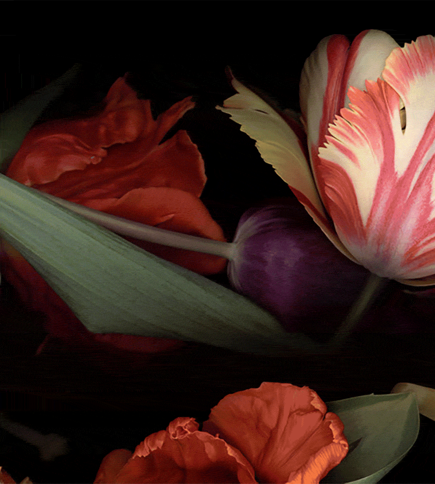 [1] Luzia Simons,&nbsp;Stockage 118, 2011. Courtesy of the artist. [2] Bruno Vilela,&nbsp;Amazon queen of lightning and uterus, 2023. Courtesy of the artist. [3] Jaider Esbell,&nbsp;It was Amazon, 2016. Courtesy of Gallery Jaider Esbell. [4] Thomas Wrede,&nbsp;Rhonegletscher inside #4, 2019. Courtesy of the artist. [5] Luiz Moreira,&nbsp;Orum,&nbsp;2023. Courtesy of the artist and Iadê.