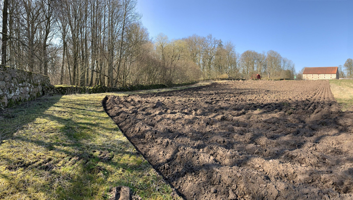 Kimsooja,&nbsp;&nbsp;Sowing Into Painting, part of the exhibition Kimsooja, Sowing Into Painting, Wanås Konst 2020. Photo: Mattias Givell 