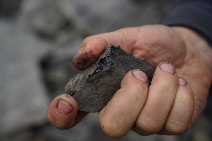 Liv Bugge, We Would Not Call Ourselves Trilobite, 2017. © Liv Bugge, Hans Arne Nakrem, Museum of Natural History, Oslo and Museum of University History, Oslo.