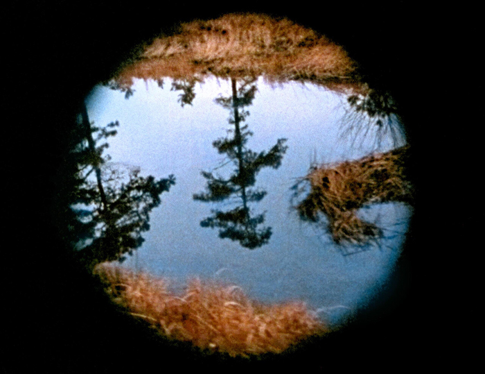 Nancy Holt,&nbsp;Pine Barrens&nbsp;(still), 1975. © Holt/Smithson Foundation. Licensed by Artists Rights Society, New York. © Holt/Smithson Foundation / ARS, NY / VEGAP 