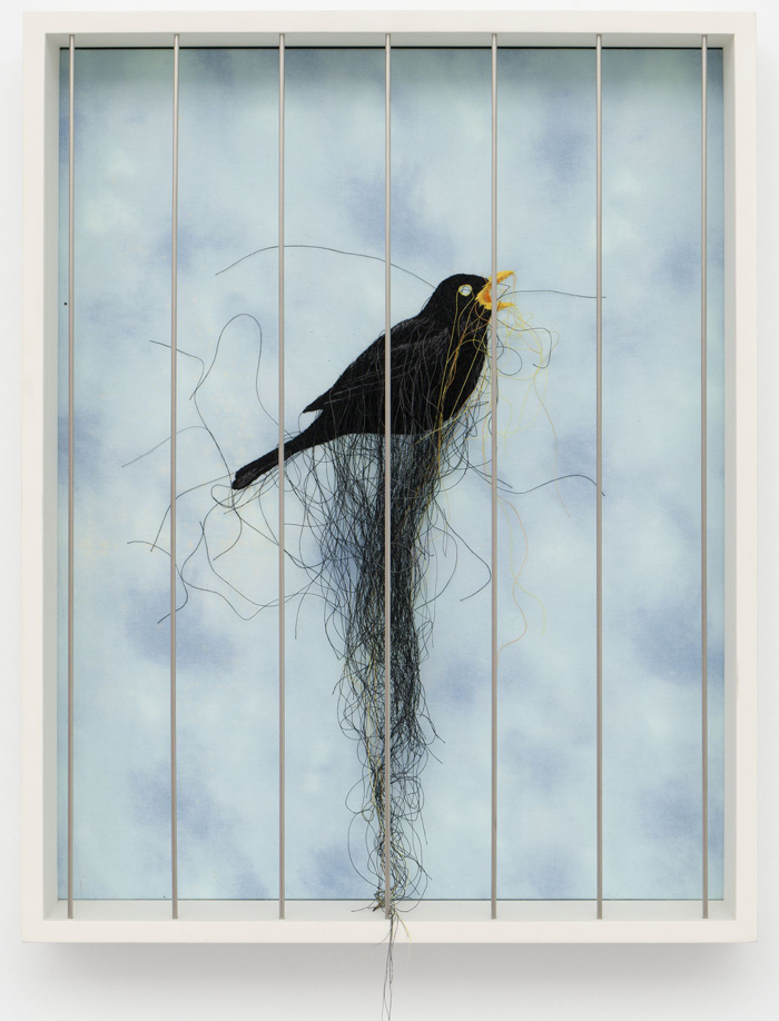 Abigail Lane, Doing Time, Galerie Semiose, Paris