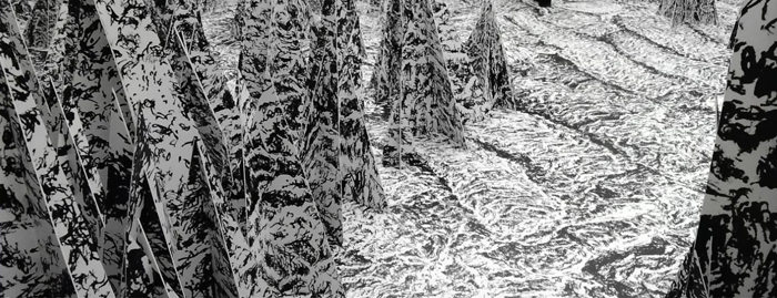 Anaïs Lelièvre, Le bruissement de la terre, 2026. Passage Sainte-Croix, Nantes