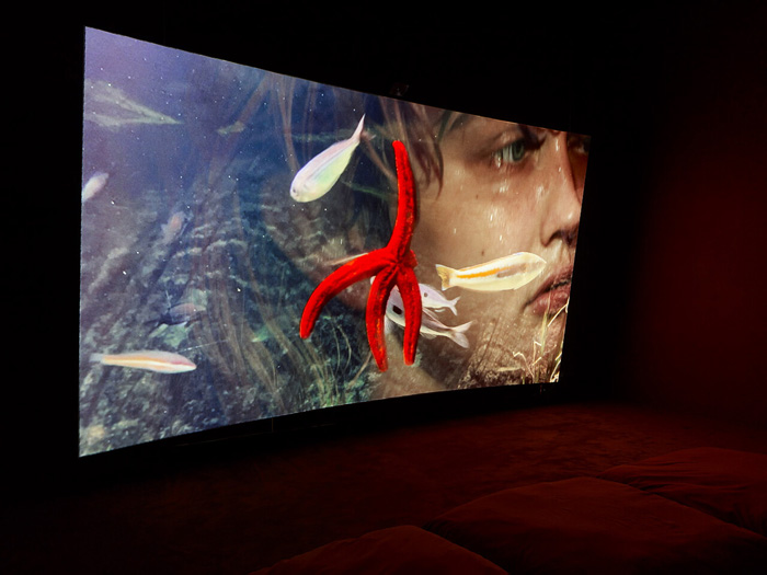 Laure Prouvost,&nbsp;Four for See Beauties, 2022. Installation view,&nbsp;River of Rebirth, Z33, Hasselt, Belgium, 2023. Commissioned by Kiasma / Finnish National Gallery and La Casa Encendida. Courtesy of the artist and Galerie Nathalie Obadia, carlier | gebauer, and Lisson Gallery. Photo: © Kristien Daem. 