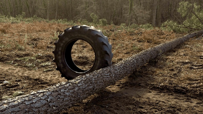 Une embuscade en suspens, film de Simon Quéheillard, France 2021, 16min40s, HD, couleur, sans dialogue. Tournage réalisé dans le département des Landes de 2017 à 2020 